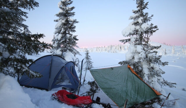 Kamp Hayatı ve Mental Sağlık İlişkisi: Doğanın İyileştirici Etkisi