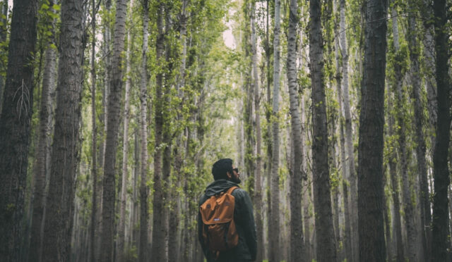 Outdoor Giyimle Doğaya Uyumlu Kombin Fikirleri