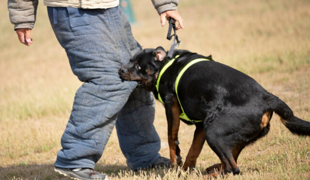 Polislikte Fiziki Hazırlık İçin Etkili Antrenmanlar