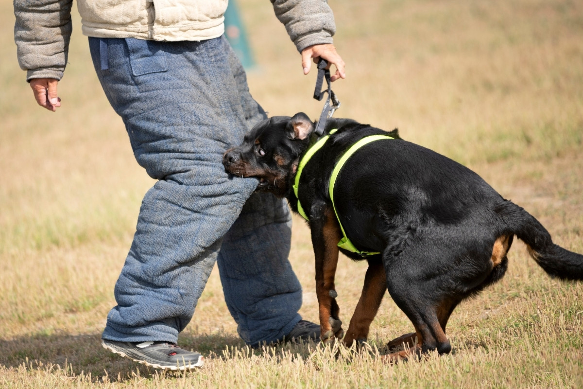 Polislikte Fiziki Hazırlık İçin Etkili Antrenmanlar